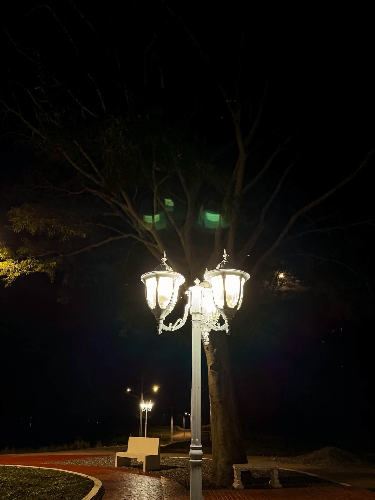 Luminaria clásica de la rotonda de noche